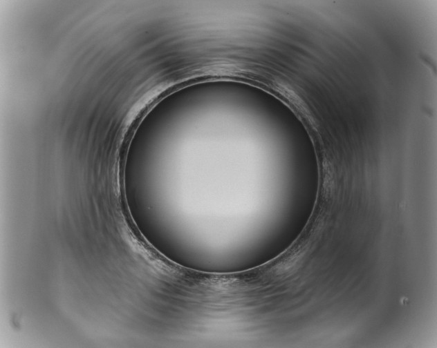 X0000100410939200806131033