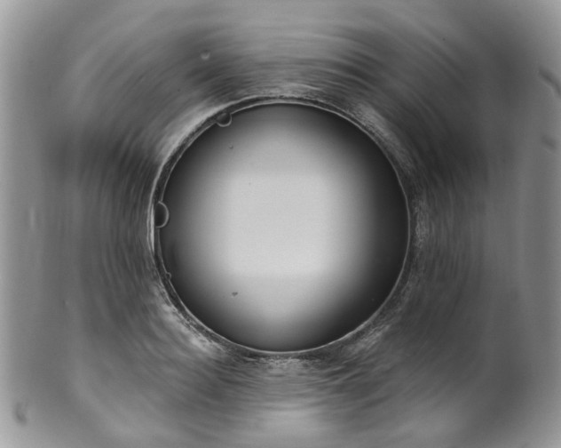 X0000100410940200806131033