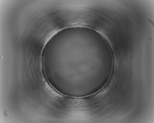 X0000100410941200806131033