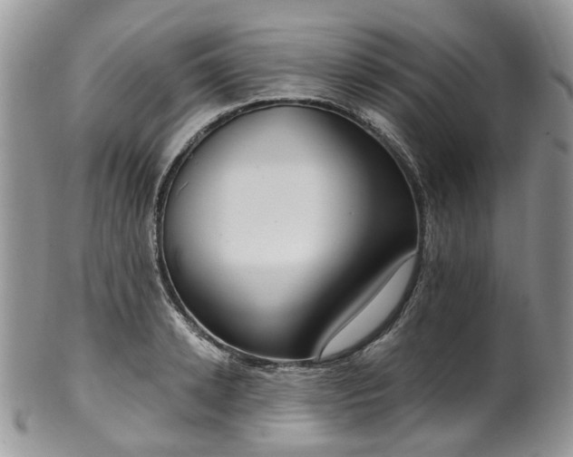 X0000100410942200806131033