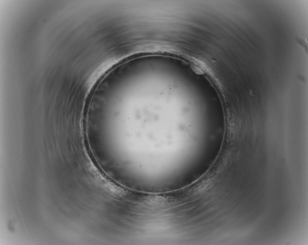 X0000100410943200806131033