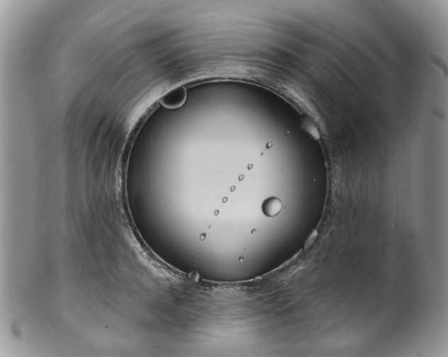 X0000100410944200806131033