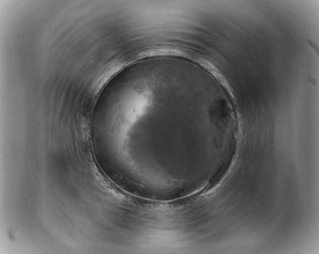 X0000100410945200806131033