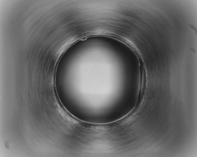 X0000100410946200806131033