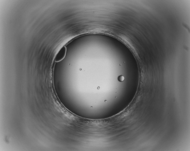 X0000100410948200806131033