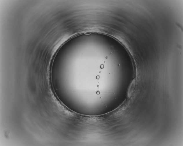 X0000100410949200806131033