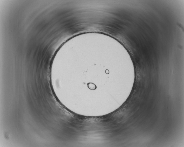 X0000100410950200806131033