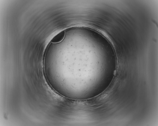 X0000100410951200806131033