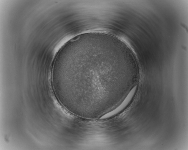 X0000100410952200806131033