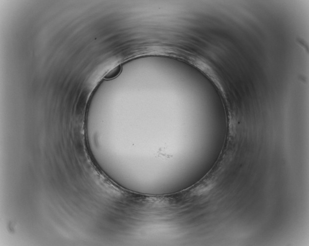 X0000100410954200806131033