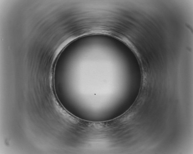 X0000100410955200806131033