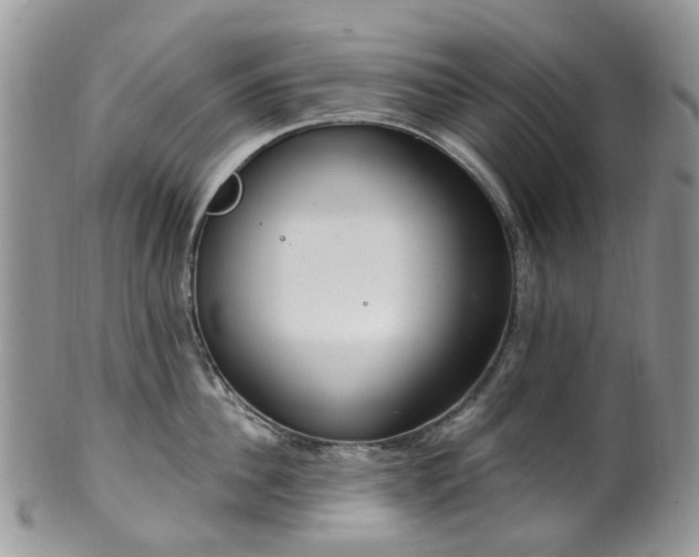 X0000100410956200806131033