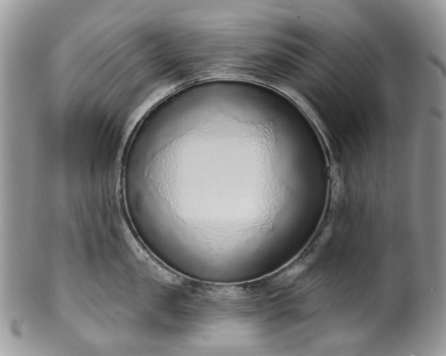 X0000100410957200806131033