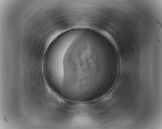 X0000100410958200806131033