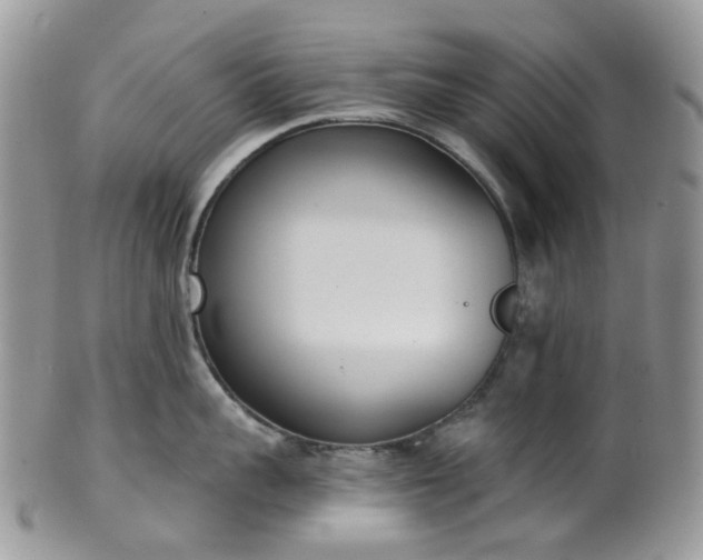 X0000100410959200806131033