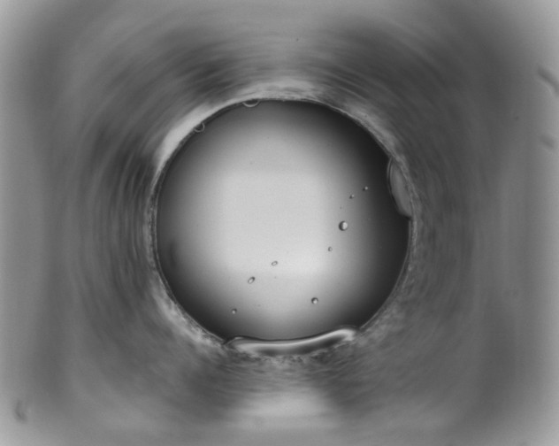 X0000100410960200806131033