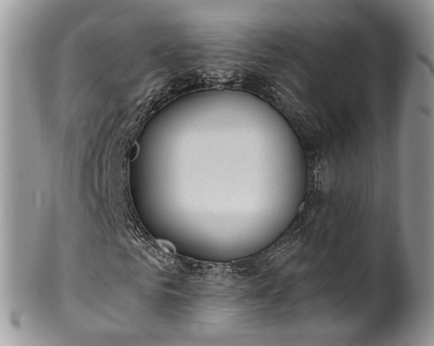 X0000100410961200806131032