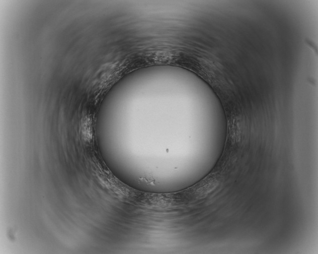 X0000100410962200806131032