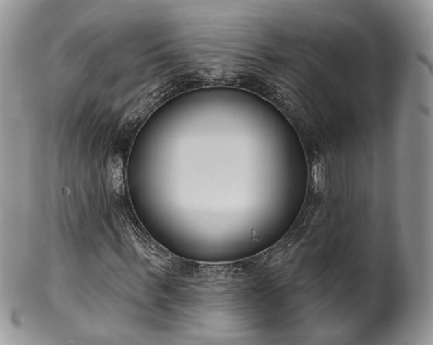 X0000100410963200806131032