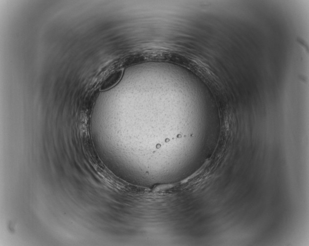 X0000100410964200806131032