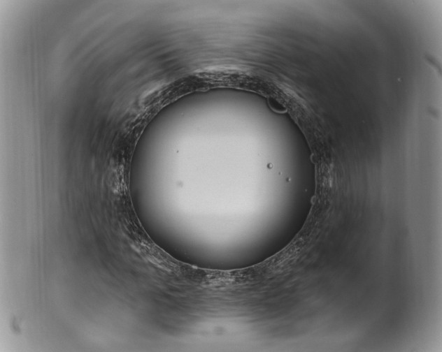 X0000100410965200806131032