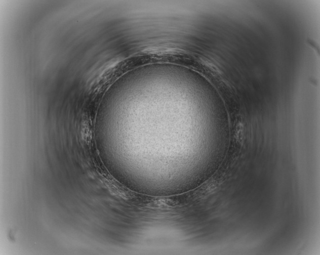 X0000100410966200806131032