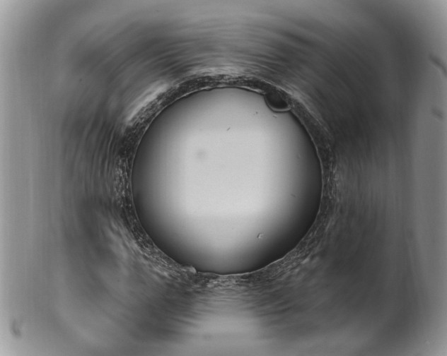 X0000100410967200806131032