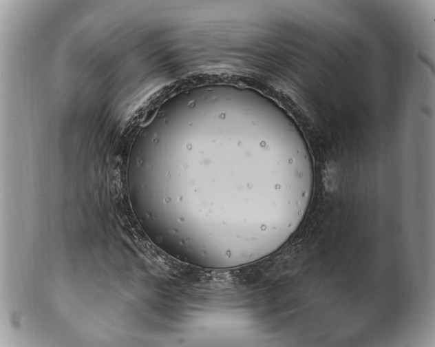 X0000100410968200806131032