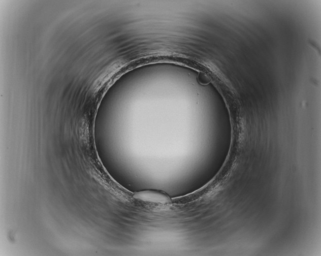 X0000100410969200806131032