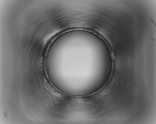 X0000100410971200806131032