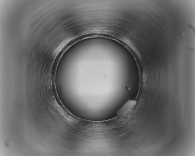 X0000100410972200806131032