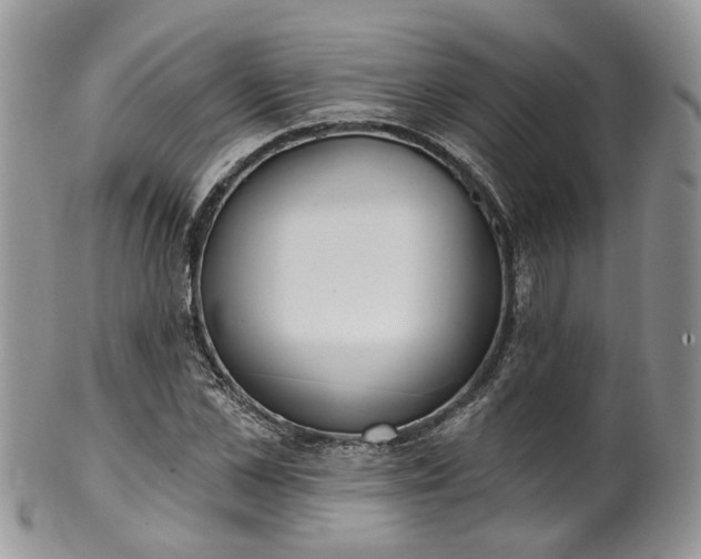 X0000100410973200806131032