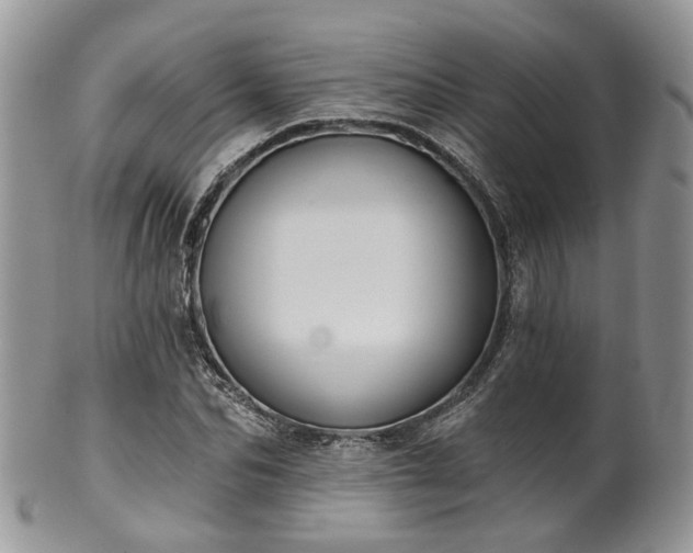 X0000100410974200806131032