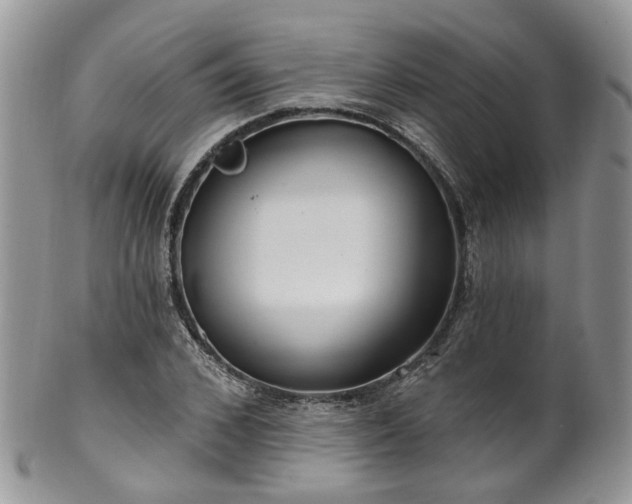 X0000100410976200806131032