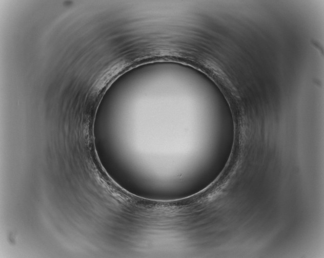 X0000100410977200806131032