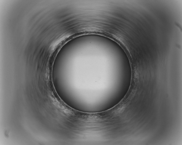 X0000100410979200806131032