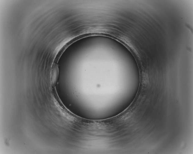 X0000100410980200806131032