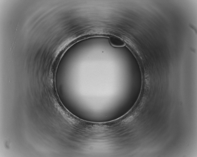 X0000100410981200806131032