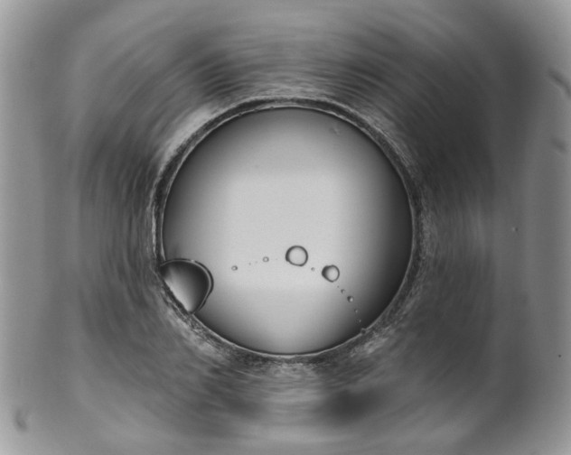 X0000100410982200806131032