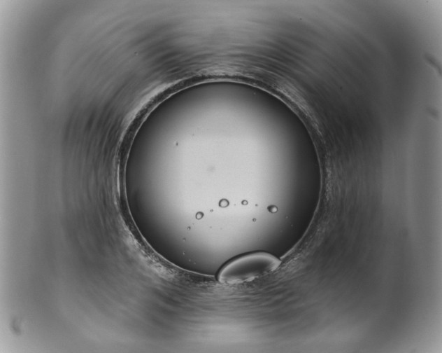 X0000100410984200806131032