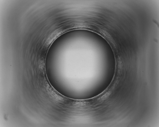 X0000100410985200806131032