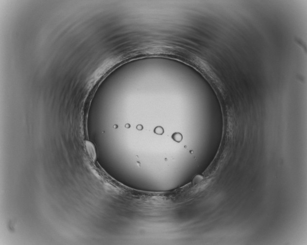 X0000100410986200806131032