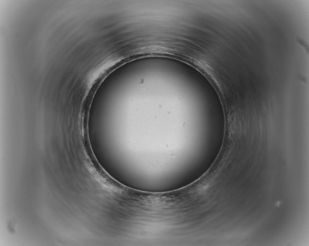 X0000100410987200806131032