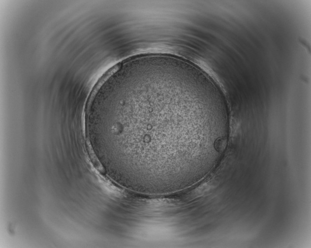 X0000100410988200806131032