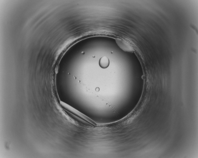 X0000100410989200806131032