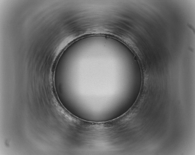 X0000100410990200806131032