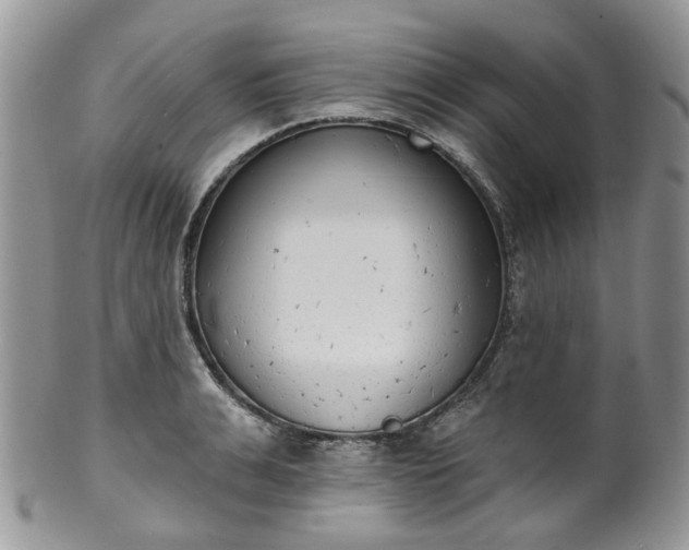 X0000100410991200806131032