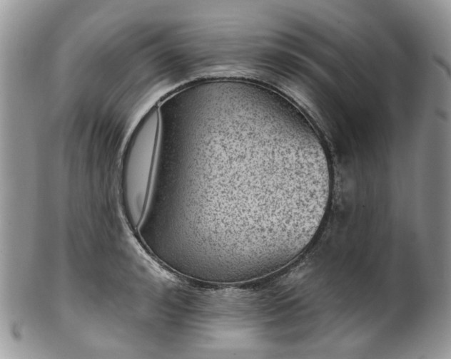 X0000100410992200806131032