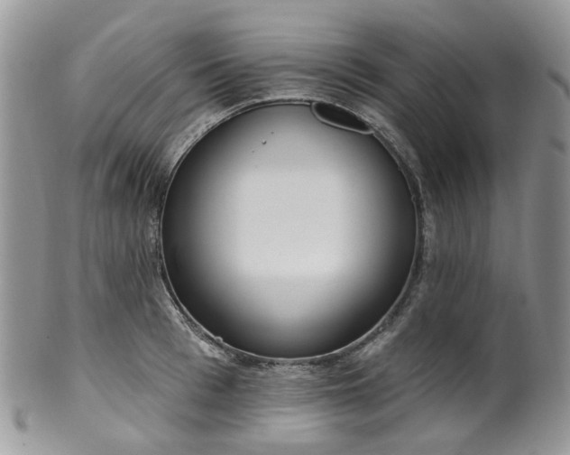 X0000100410993200806131032