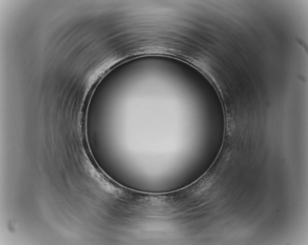 X0000100410995200806131032